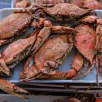 crab_picture_a60c154f-100a-4ba0-b788-bc186807366e
