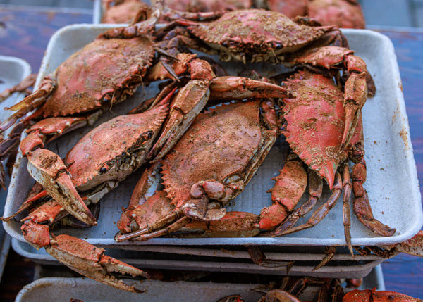 crab_picture_a60c154f-100a-4ba0-b788-bc186807366e