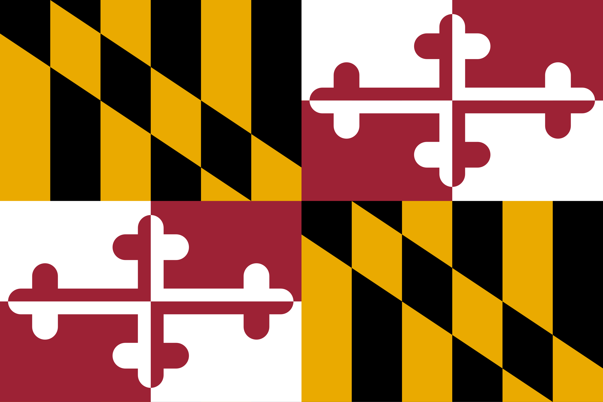Discover the meaning of the symbols on the Maryland Flag